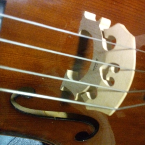 "student"Chello (Cremona) - Picture 3 of 8